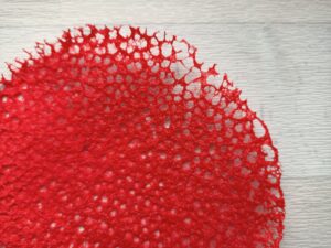 cialda corallo ricetta silvia brunzin