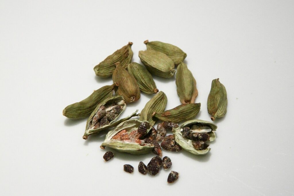 il cardamomo