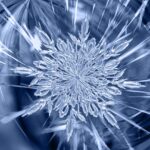 Surgelare, Congelare e Abbattere: Differenze