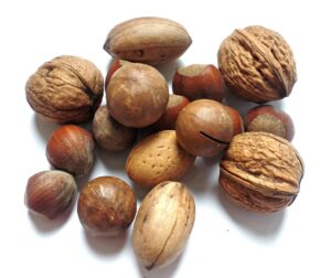 frutta secca nocciole mandorle noccioline arachidi