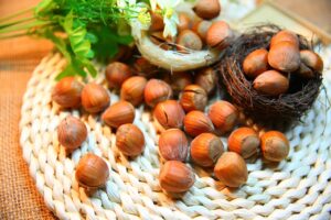 nocciola nocciole frutta secca oleosa