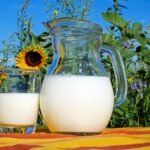 Il Latte: l’alimento più antico del mondo