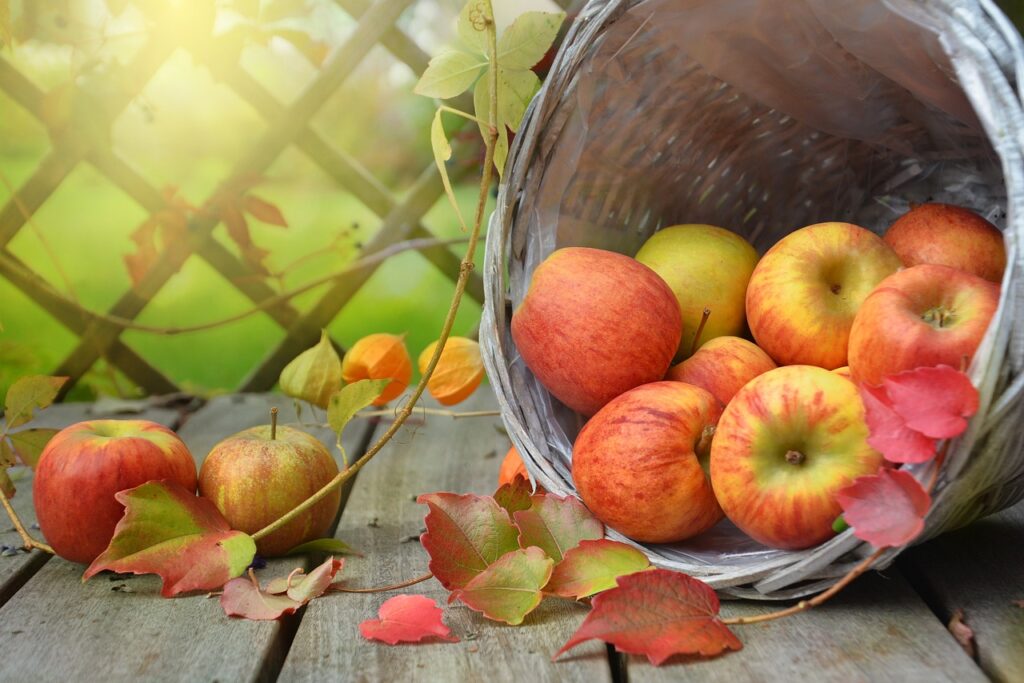 frutta e verdura di stagione
Ad ogni stagione…i suoi colori, i suoi sapori e le sue tradizioni
